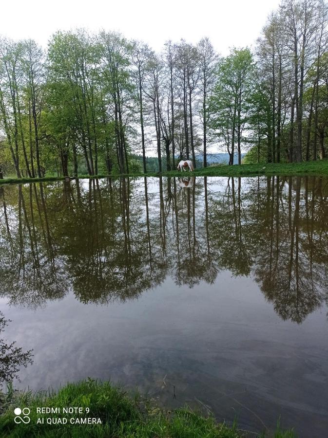 Apartmany U Becova Nad Teplou Bečov nad Teplou エクステリア 写真